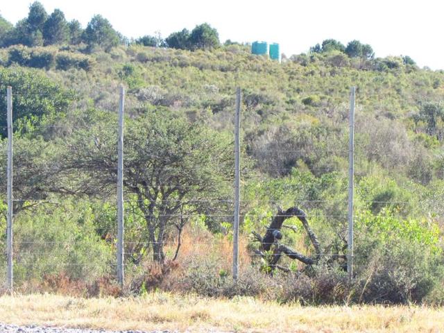 Farm for sale in Bushmans River Mouth, Eastern Cape