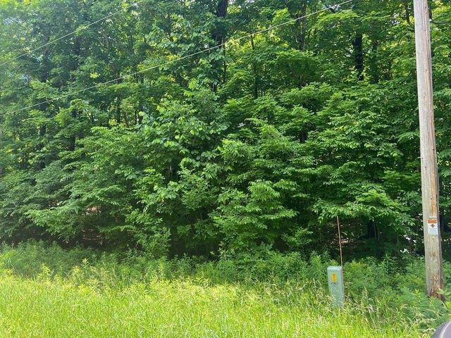 Land for sale in Birchwood, Wisconsin