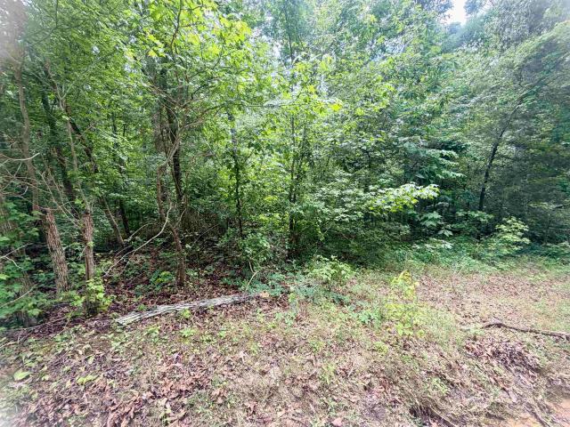 Land for sale in Tennessee