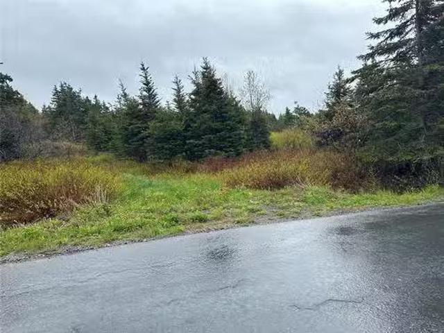 House for sale in Harbour Main, Newfoundland And Labrador