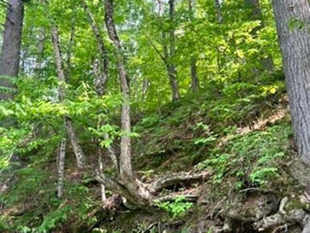 Land for sale in Wisconsin