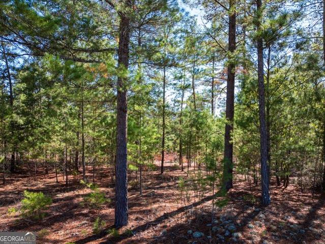 Land for sale in Roberta, Georgia