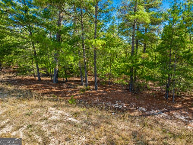 Land for sale in Roberta, Georgia