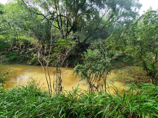 Farm for sale in Groot Marico, North West