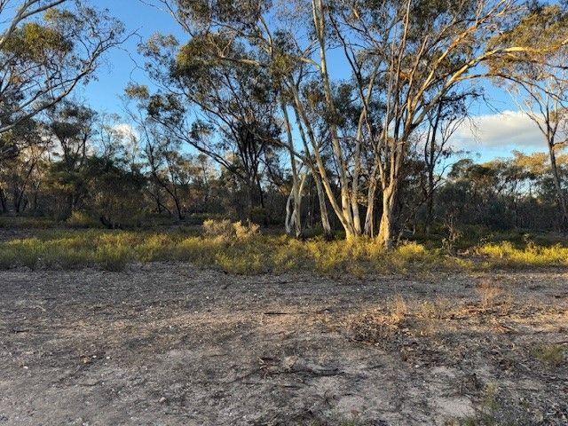 Land for sale in Wedderburn, Victoria