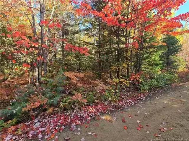 House for sale in Burnsville, New Brunswick