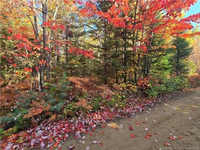 Land for sale in Burnsville, New Brunswick