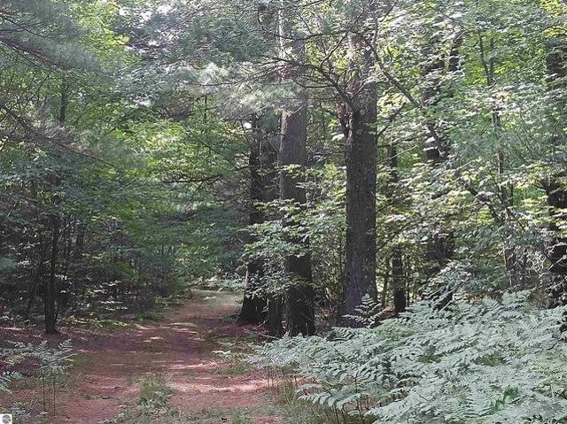 Land for sale in Benzonia, Benzie County