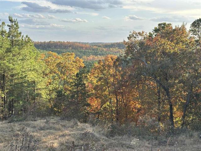 Land for sale in Broken Bow, Oklahoma
