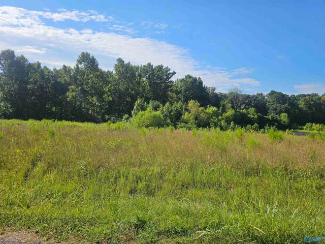 Land for sale in Arab, Marshall County