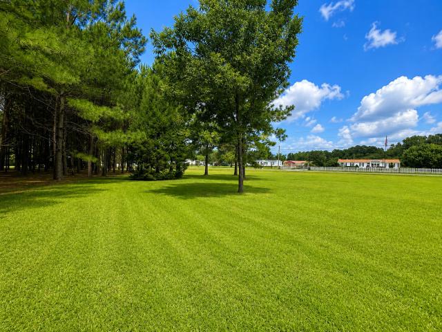 Land for sale in Kenly, North Carolina
