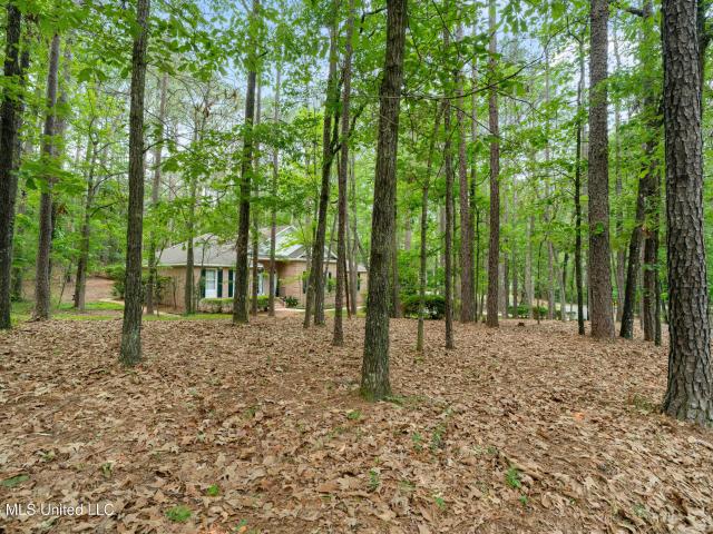 House for sale in Hattiesburg, Mississippi