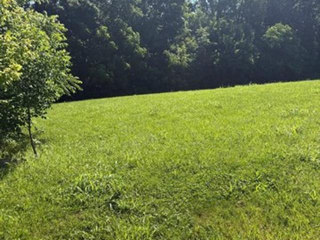 Land for sale in Louisville, Kentucky