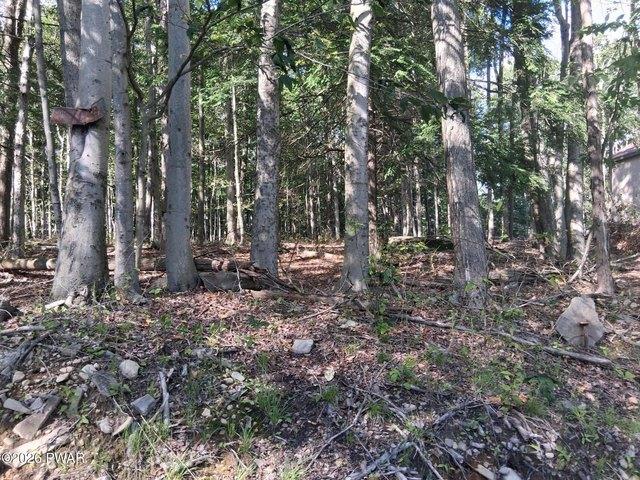 Land for sale in Lake Ariel, Pennsylvania