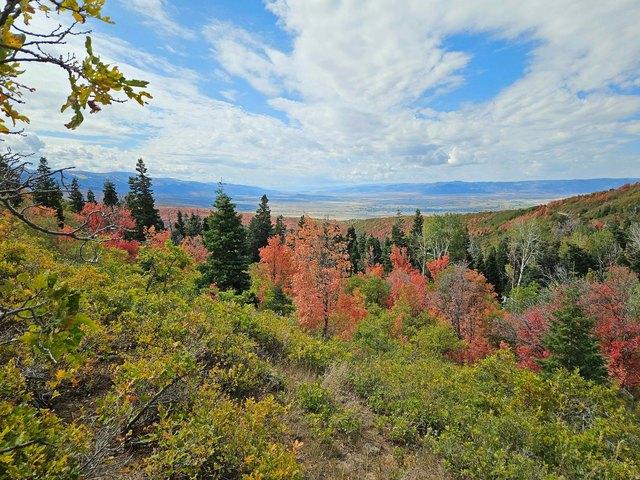 Land for sale in Fairview, Utah