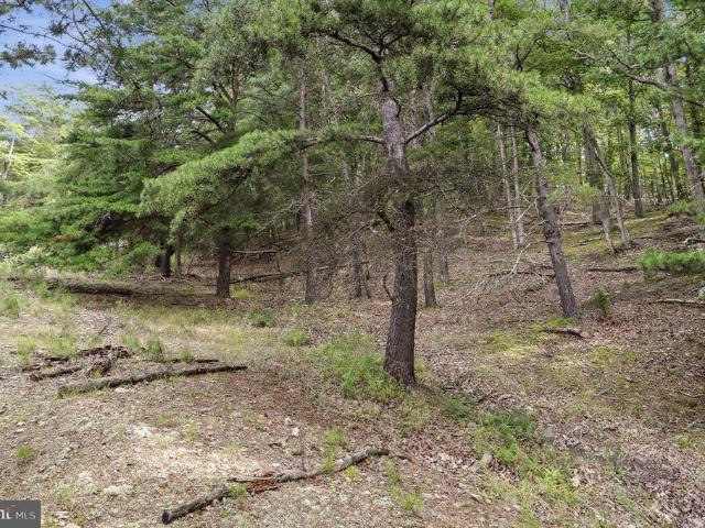 Land for sale in Hardy, West Virginia
