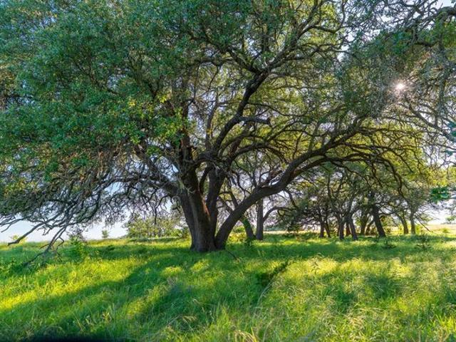 Land for sale in Burnet, Texas