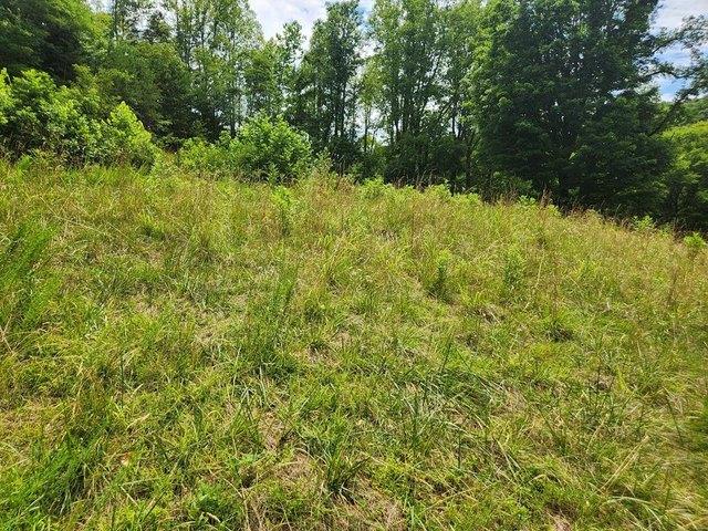 Land for sale in Virginia