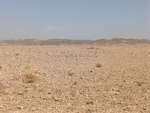 Terrain vente à L'Oriental