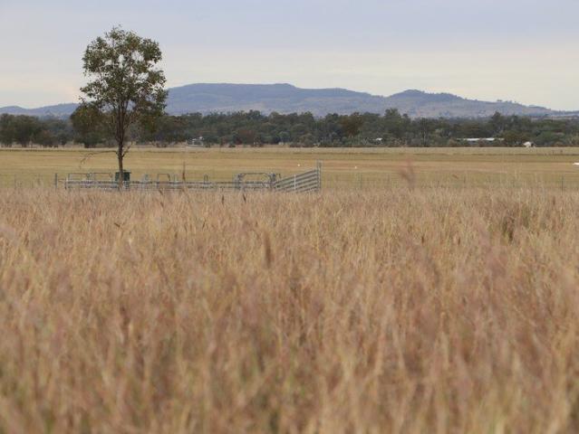 Cottage for sale in Roma, Queensland