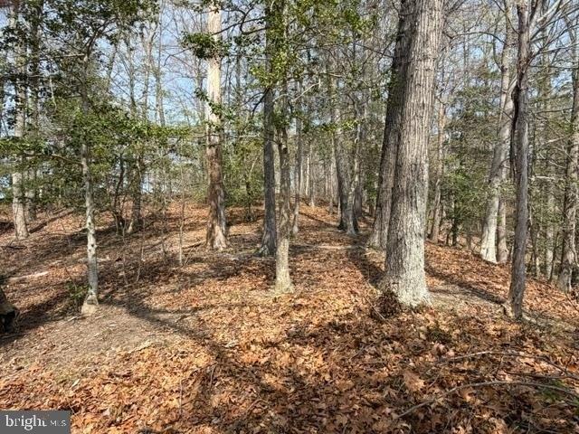 Land for sale in Virginia