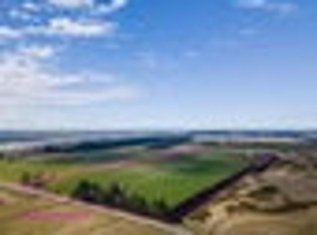 Land for sale in Selwyn District, Canterbury