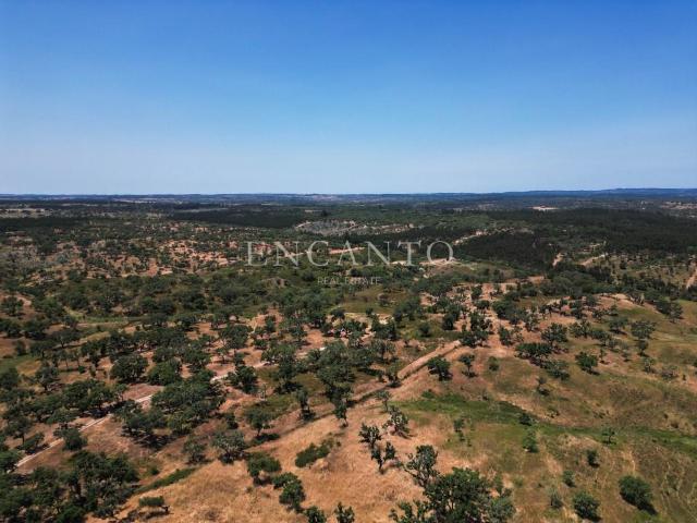 Vivenda venda em Santiago Do Cacém, Setúbal