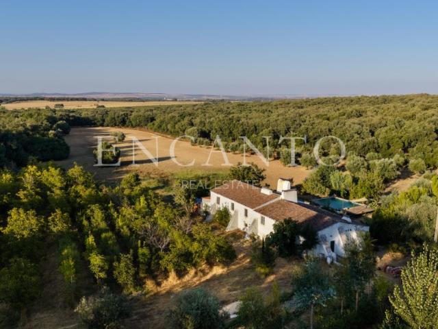 Quinta venda em Bairro dos Abibes, Estremoz