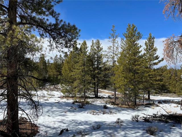 Land for sale in Twin Lakes, Colorado