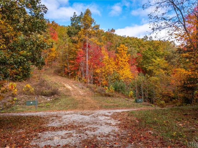Land for sale in North Carolina