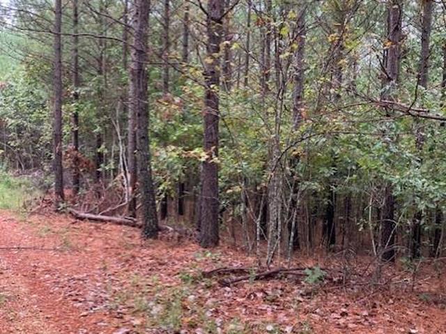 Land for sale in Fredericktown, Missouri