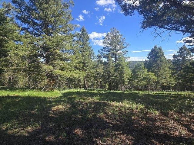 Land for sale in Helmville, Montana