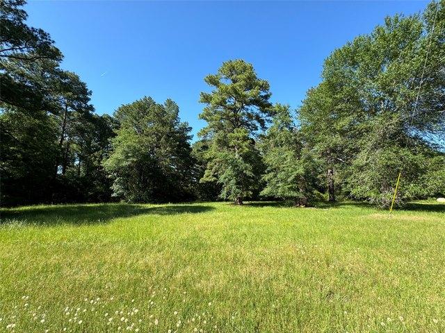 Land for sale in Texas