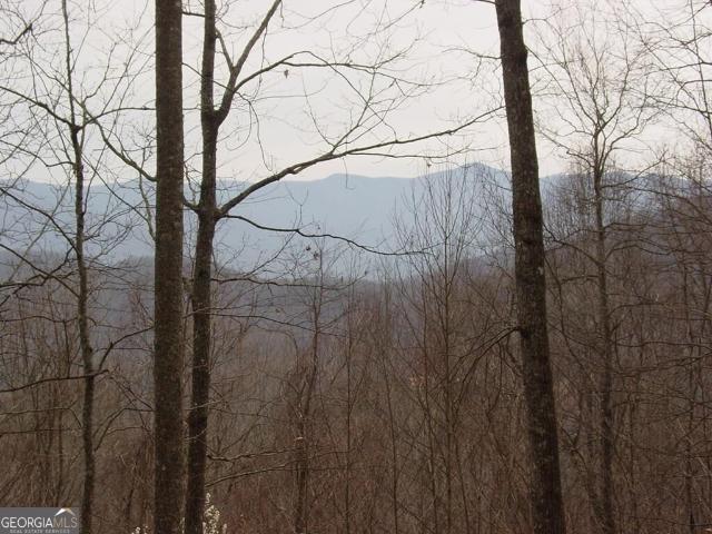 Land for sale in Young Harris, Georgia