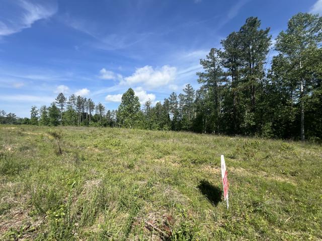 Land for sale in Tennessee