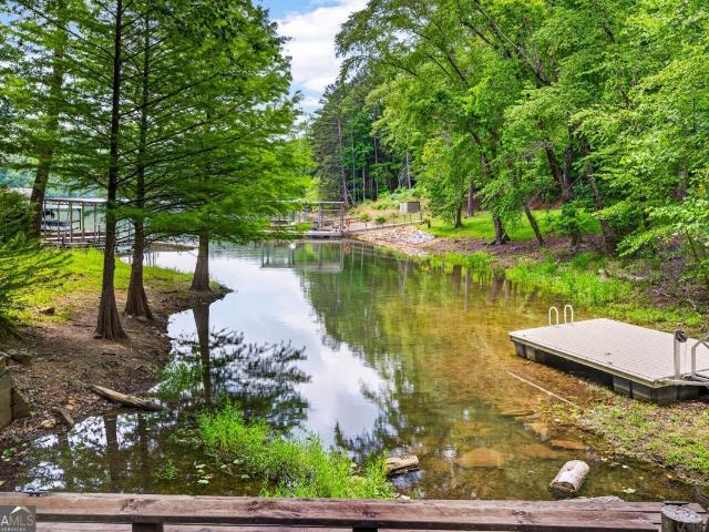 House for sale in Morganton, Georgia