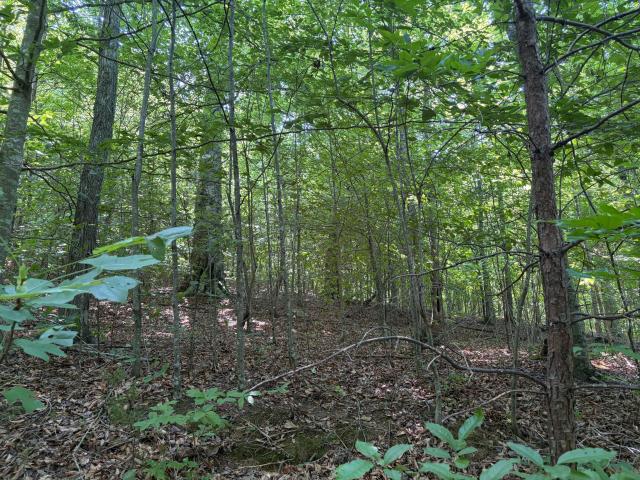 Land for sale in Somerset, Kentucky