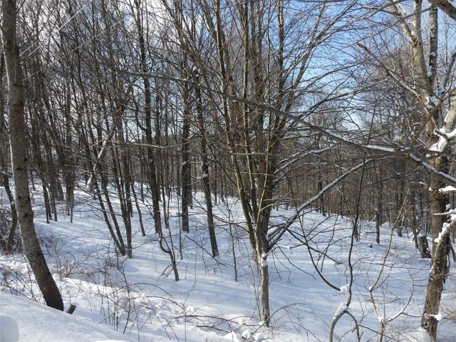 Land for sale in Andes, New York