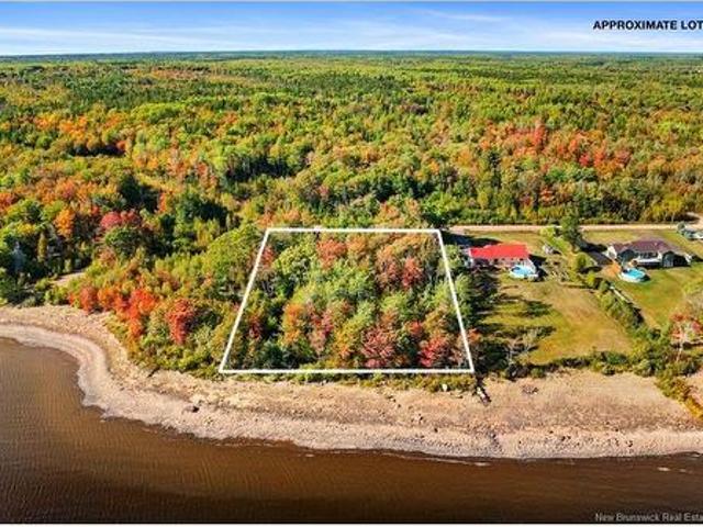 Land for sale in Flowers Cove, New Brunswick