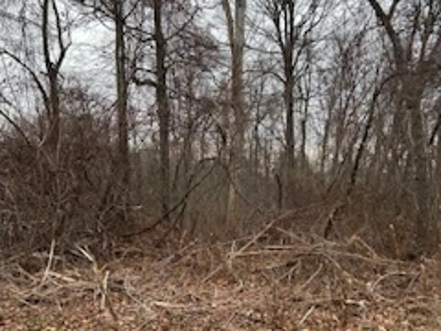 Property for sale in Naugatuck, Connecticut