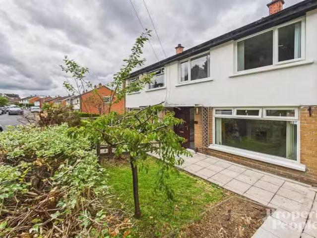House to rent