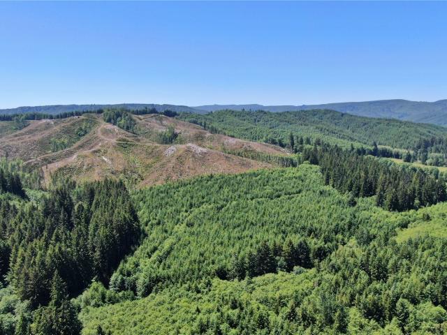Land for sale in Cosmopolis, Washington