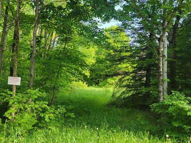 Land for sale in Sawyer, Wisconsin