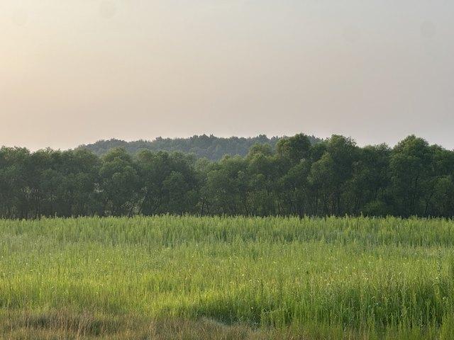 Land for sale in Dunn, Wisconsin