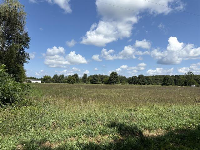 Land for sale in Almena Township, Van Buren County