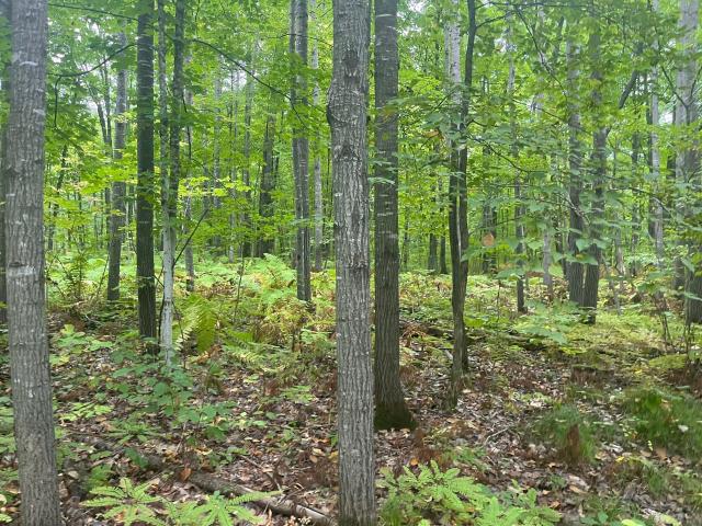 Land for sale in Wisconsin