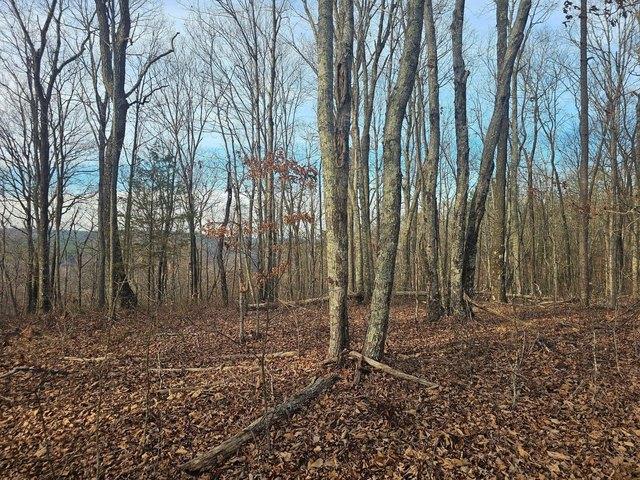Farm for sale in Tennessee
