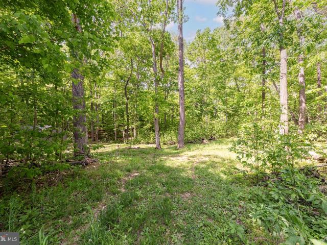 Land for sale in Calmes Neck Estates, Boyce