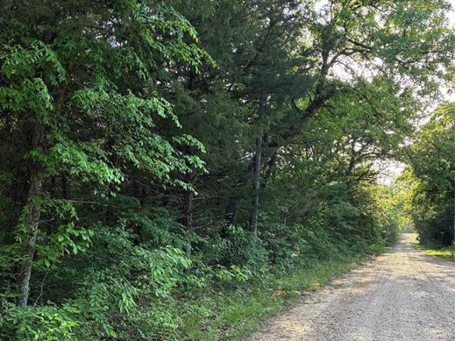 Land for sale in Fannin, Texas