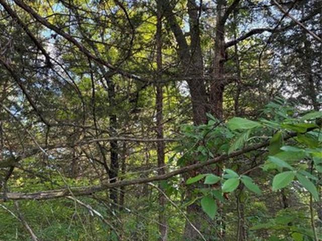 Land for sale in Fannin, Texas